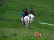 P1000337-k.jpg