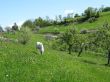 Michaela-IMG_0160.JPG