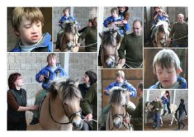 Collage-Junge2-Web.jpg