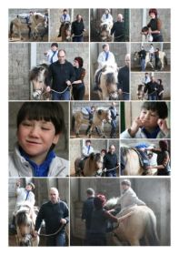 090328-Collage-Junge02-2-klein.jpg