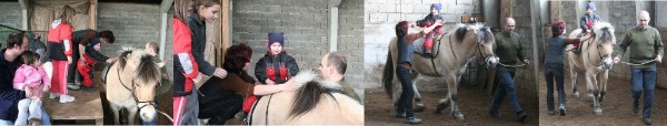 Therapeutisches Reiten