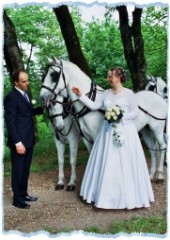 Mai 2003 - Hochzeit in Lipica - mit dem Vierspänner Mai 2003 - Hochzeit in Lipica - mit dem Vierspänner