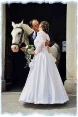 Mai 2003 - Hochzeit in Lipica - mit Hauptbeschäler Mai 2003 - Hochzeit in Lipica - mit Hauptbeschäler